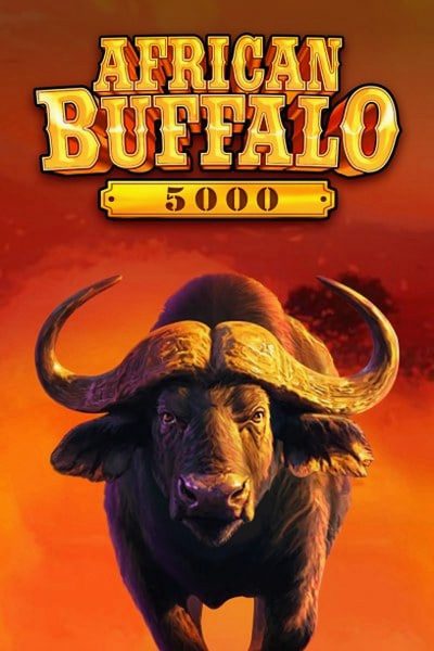 Retrato de African Buffalo 5000 en Casinova